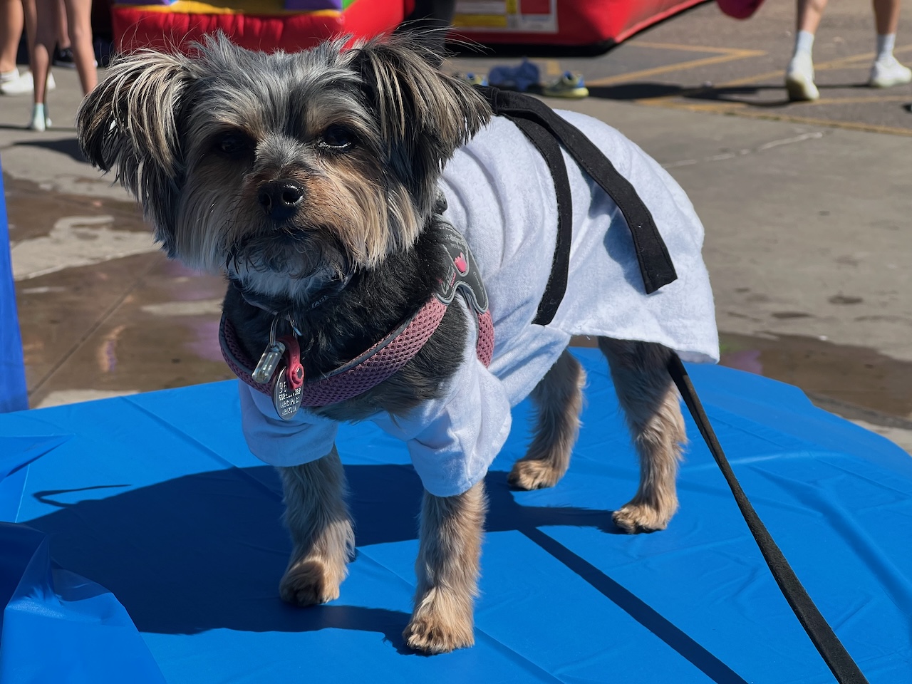 Penny in a gi