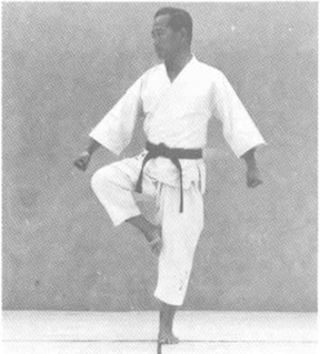 side snap kick