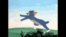 Tom &amp; Jerry